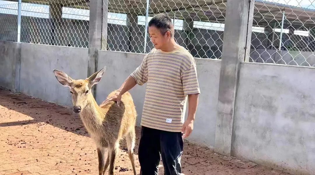 百盈足球社区